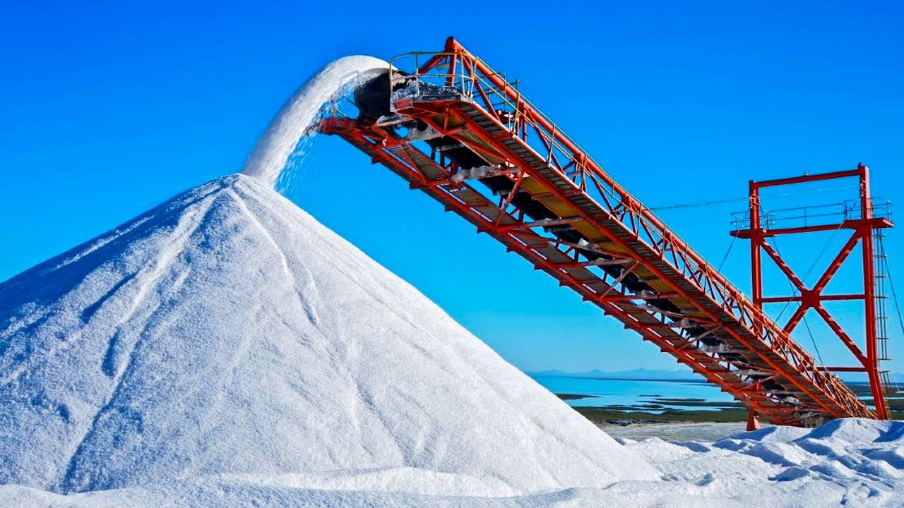 salt industry